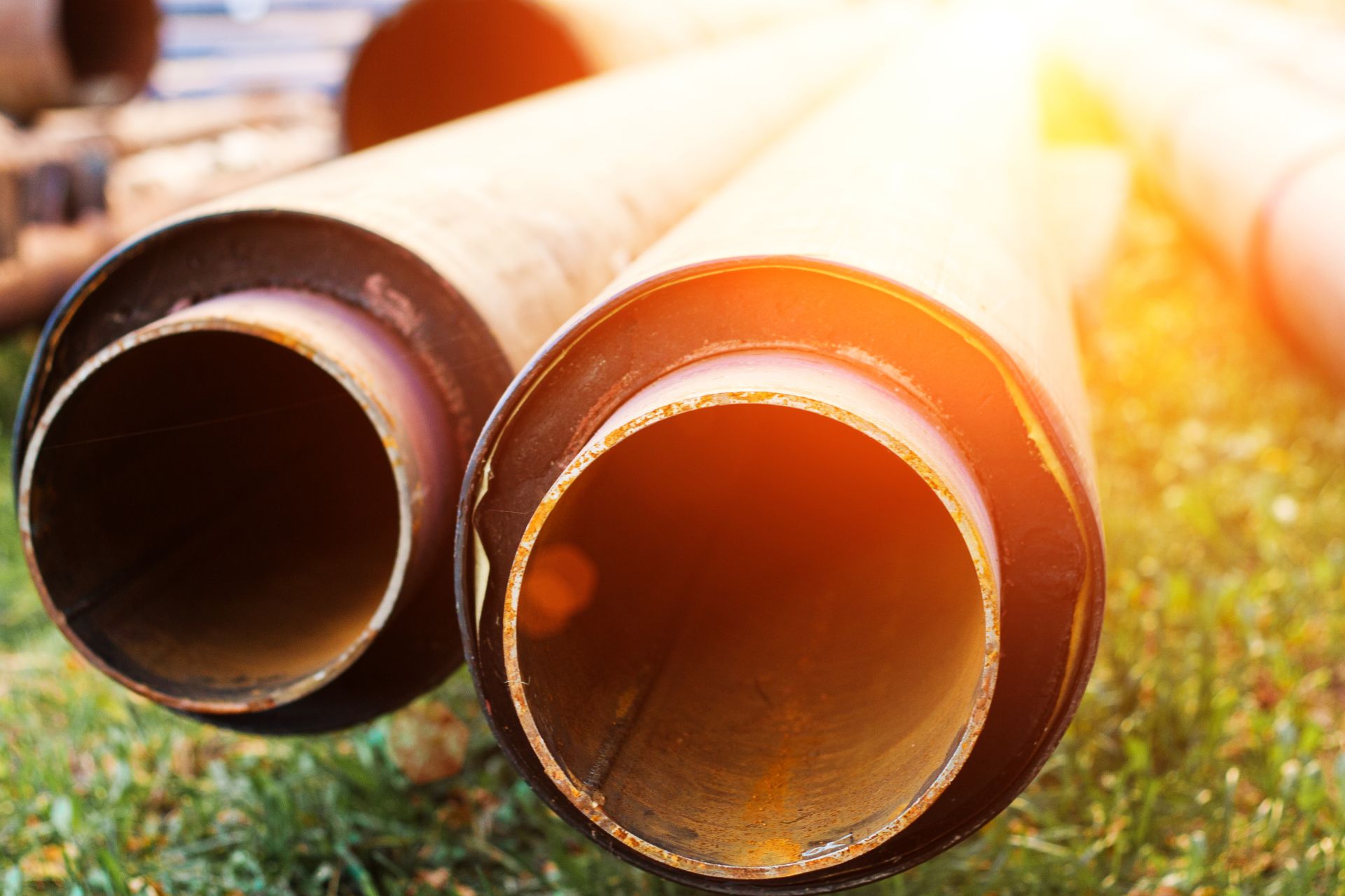 shutterstock_724060426